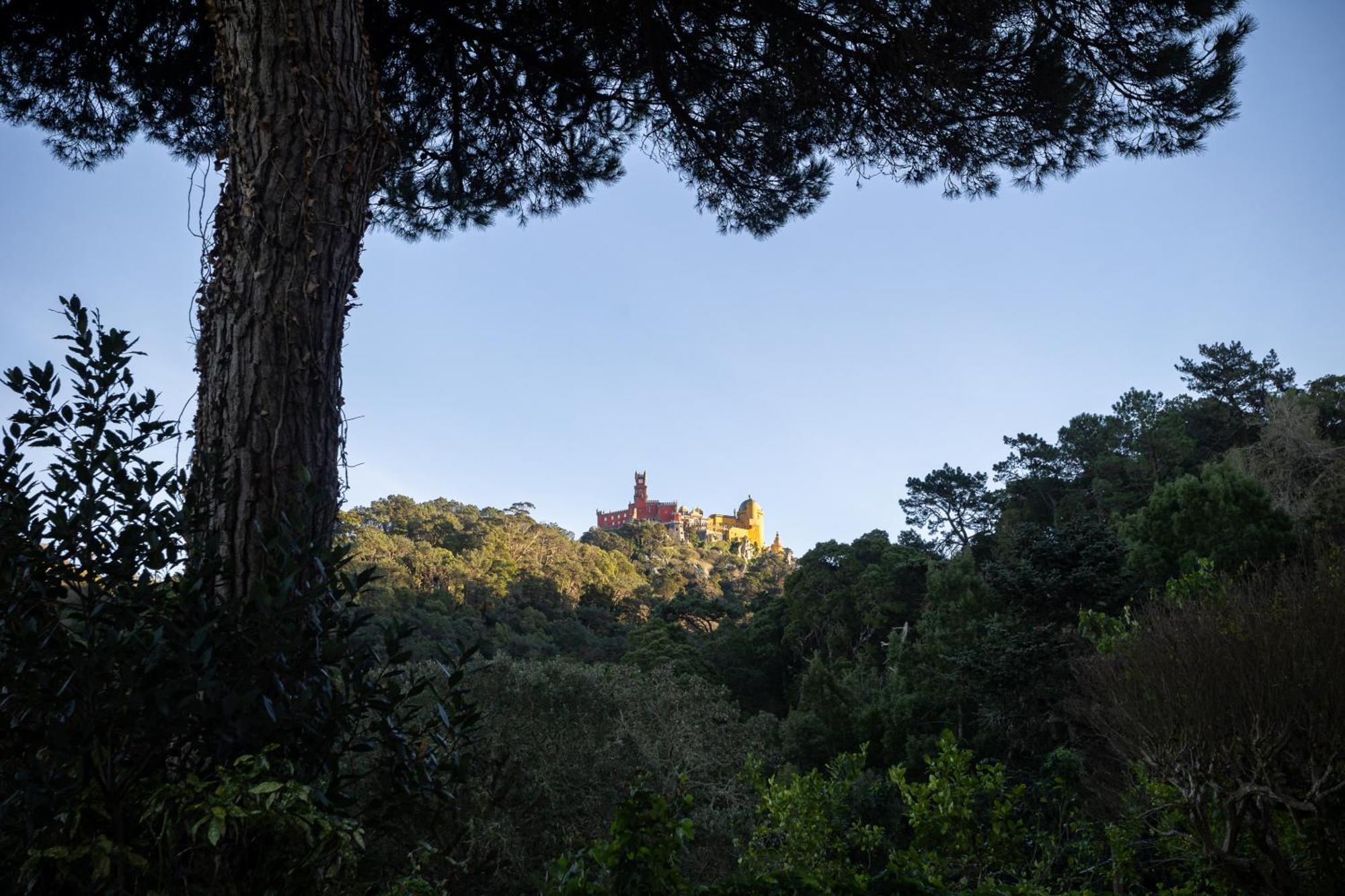 Chalet Chapéu de Sol - Sintra Esterno foto