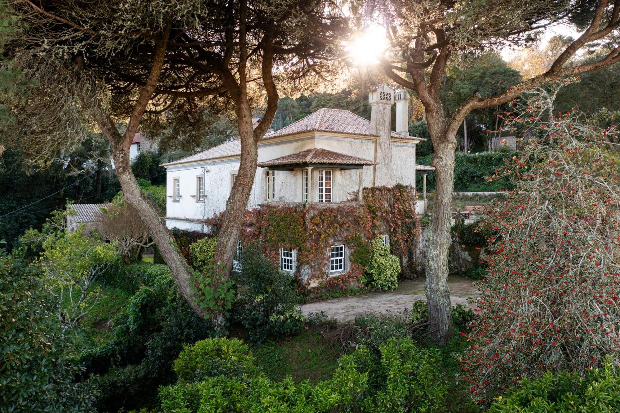 Chalet Chapéu de Sol - Sintra Esterno foto